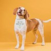 Dog Bandana Will You Marry My Dad, Dog Engagement Announcement