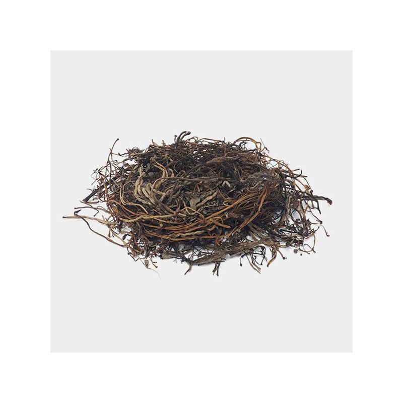 국산 쇠비름 마치현 200g 오행초 Korean Domestic Beef Sorrel Machihyun