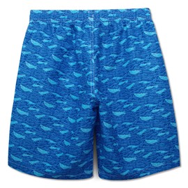 MEILONGER Boys Swimming Shorts Quick Dry Beach Board Trunks Swimwear Bathing Suits Size 6-7,8,10-12,14-16(Dark Blue(Fish),14-16)