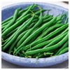 Everwilde Farms - 1 Lb Blue Lake Bush Green Bean