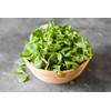 SeedsUP - 500+ Seeds Corn Salad Lamb's Lettuce - Vegetable