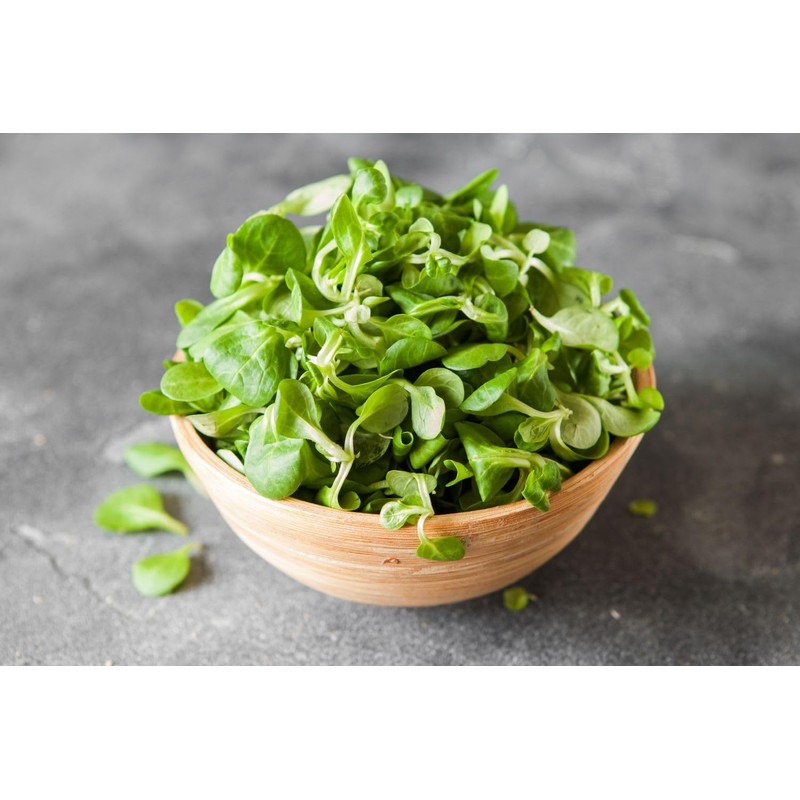 SeedsUP - 500+ Seeds Corn Salad Lamb's Lettuce - Vegetable