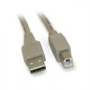 My Cable Mart 12 inch USB 2.0 Certified 480Mbps Type