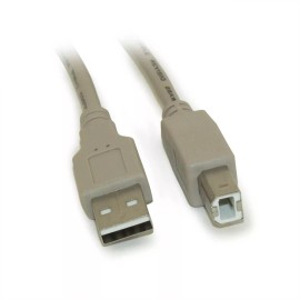 My Cable Mart 12 inch USB 2.0 Certified 480Mbps Type A Male to B Male Cable  Beige