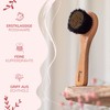 lampox Body Brush, Face Brush with Fine Copper Wires, Copper