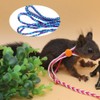 Hamster Leash Harness, Small Pet Squirrel Guinea Lead Walking Training