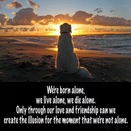 Inspirational dog   refrigerator magnet  3 1/2"x 3 1/2" Made in the USA