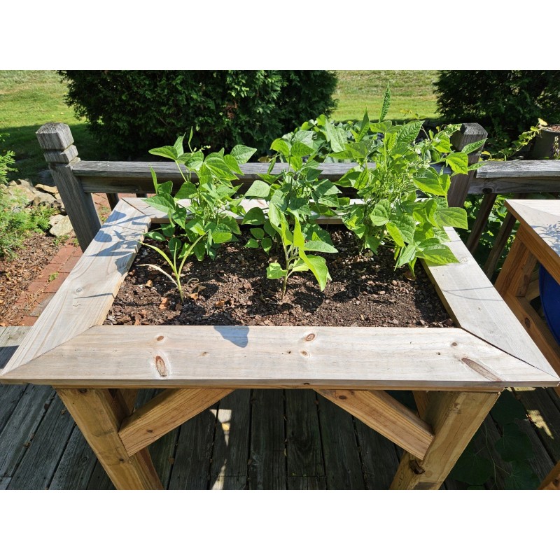 Simple Tree Fast Draining Mix, Indoor Outdoor, Organic, Soil-less, Peat-Free,