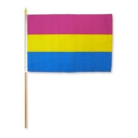 MWS Pansexual 12x18in Stick Flag