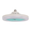 9.8 Inch Ceiling Fan Light Small E27 36W Quiet Adjustable