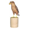 Brave Wings Hand Carved Wooden Eagle ~ While Tailed Eagle