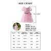 Tutu.kk Toddler Tutu Dress Little Girls Short Sleeve Fluffy Tulle