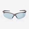 Riley Steer Safety Glasses with Bronze Frame UV and Fog