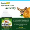Nature's MACE Deer & Rabbit Repellent Sprays - Deer Repellent
