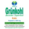 Green Cabbage Vital Substance Champion & Superfood 360 (3 x
