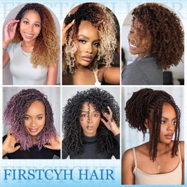 Passion Twsit Hair 16 Inch - 350# Yankee Twist Crochet Hair 10Packs Passion Twist Braiding Hair Prelooped Mini Spring Twist Crochet Hair for Black Women(16 Inch,350#)