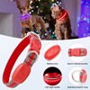Flashseen LED Cat Collar,Light Up Dog Collar Rechargeable, Dog Lights