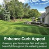 American Hydro Systems GrassSoGreen 19-0-0 Liquid Fertilizer Maintenance Formula, Grass