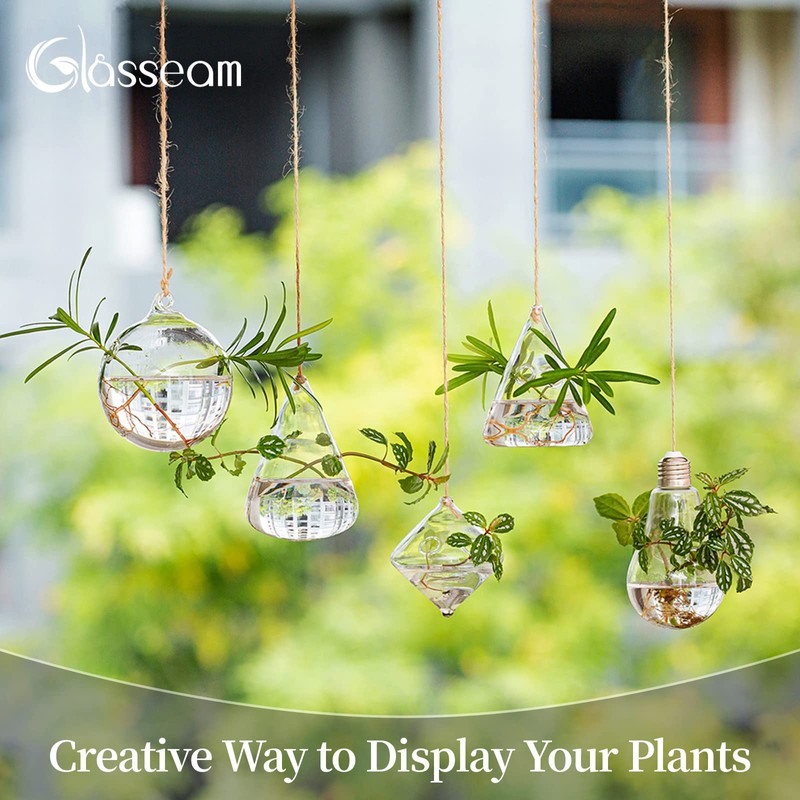 Glasseam Hanging Planters Glass Terrarium: 5Pcs Modern Plant Propagation Stations