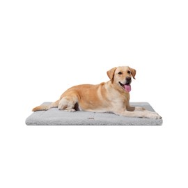 MASSFU Washable Dog Bed Mat for Extra Large Dogs, Reversible Ultra Soft Dog Crate Pad, Fleecy Foam Pet Beds for Indoor & Outdoor Dogs, 44" x 32", Gray