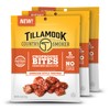 Tillamook Pork Snacks, Country Smoker Chophouse Bites, Hawaiian-Style Teriyaki Tender