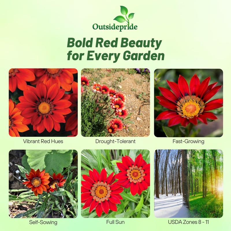 Outsidepride New Day Red Shades Gazania Seeds for Planting –