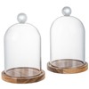 MyGift 5 Inch Mini Clear Glass Bell Display Cloches with