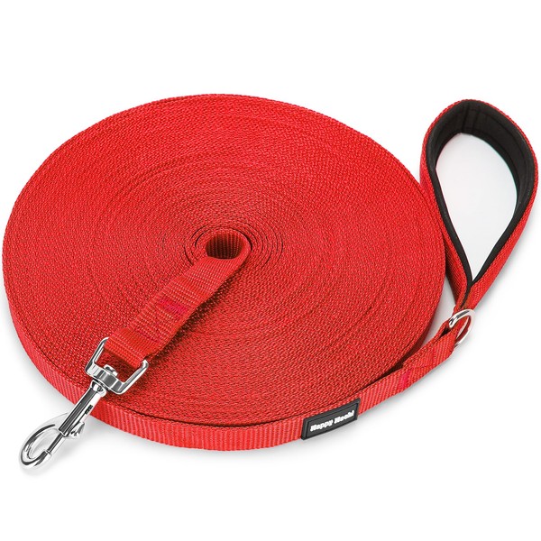 HAPPY HACHI Dog Training Lead, Long Line Nylon Leash for