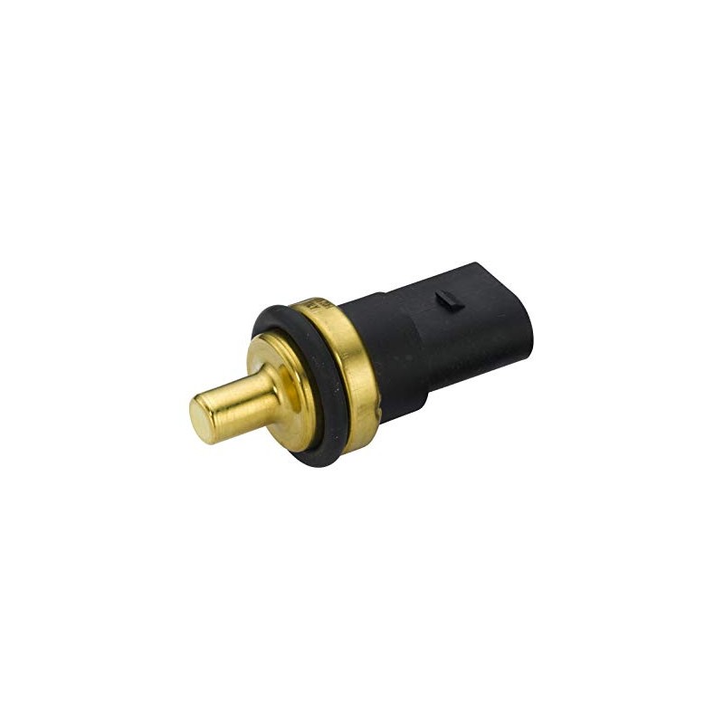 HELLA 6PT 013 113-291 Sensor, fuel temperature - 2-pin connector