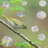 Pack of 26 Rainbow Window Film with Prism Effect, Prism