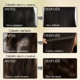 Ayvanna Rêver Shampoo Aceite Capilar Para Mejora Las Puntas Secas Abiertas Reparación Capilar 120ml