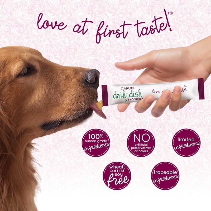 Caru Daily Dish Smoothies Lickable Treats for Dogs (Chicken, Pack