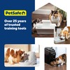 PetSafe Drinkwell Premium Replacement Carbon Filters - Improves Water Taste
