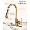 WOWOW Kitchen Faucets with Pull Down Sprayer, Gold Kitchen Faucet