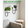 Wall Planters for Indoor Plants, Mounted Holder Shelf 3 Pack,
