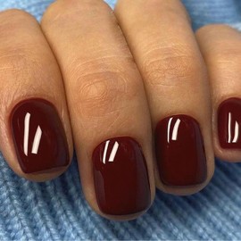 AddFavor 240pcs Press on Nails Short Square Fake Nails Glossy Full Cover Acrylic Artificial Glue on Nails Kit for Women and Girls, Burgundy Nails