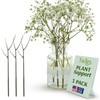 Twigs GA - Plant Support Stakes for Indoor & Outdoor