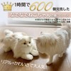 Wellfan Nadeneko-chan Elegance (Ringing, Realistic Plush), Cats, Communication, Pet Loss,