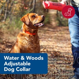 Coastal Pet - Water & Woods Adjustable Dog Collar - Durable Dog Collar with Curved Snap Lock Buckle - Patterned Collar for Dog - Stylish & Adjustable - Safety Orange, Large - 1" x 18"-26"