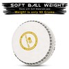 TrySalar Soft Cricket Rubber Ball Indoor Outdoor Junior Youth Adult