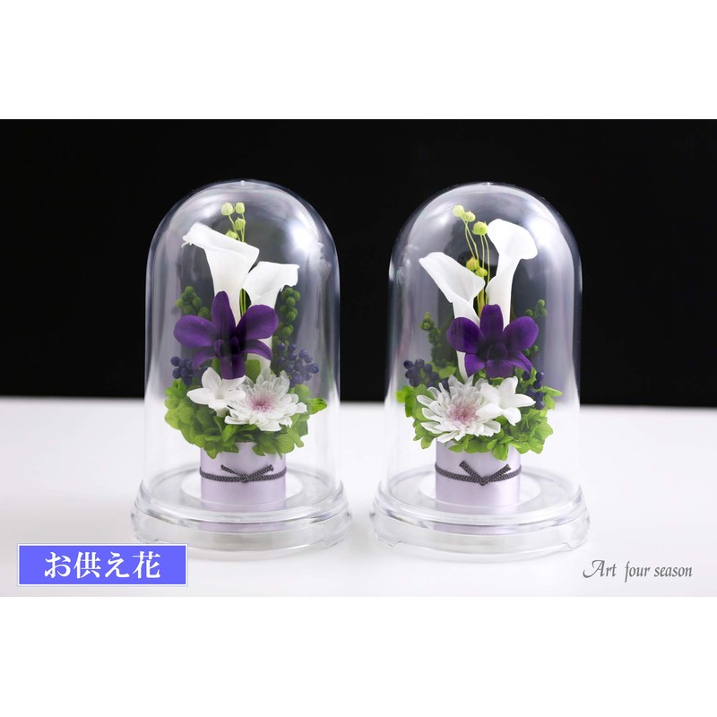 Art Four Seasons ● 2 Color vs. Design SET Grape