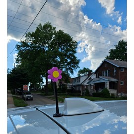 Tenna Tops Purple Daisy Flower Car, Truck, and SUV Magnetic Roof Topper Auto Accessory (Car Magnet Buddy)