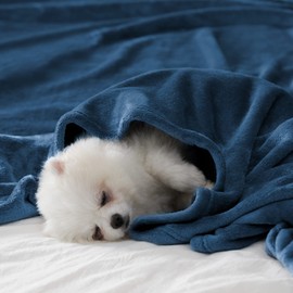 BEAUTEX Fleece Blanket Queen Size Super Soft Flannel Throw Blanket Lightweight Fuzzy Plush Blanket for Couch Sofa or Bed All Seasons (Dusty Blue, 90" x 90")