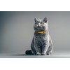 CAT COLLAR PALÜ-K 1.5 - Swiss Design, Made in Spain
