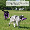 PULLER Midi Puller for Small and Medium Dogs