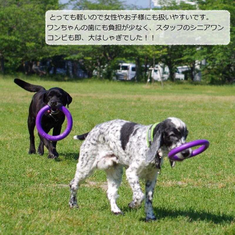 PULLER Midi Puller for Small and Medium Dogs