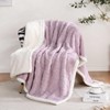 Gracelife Sherpa Throw Blanket Fleece Blanket, Soft Fluffy Blanket for