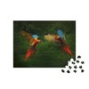 puzzleYOU: 500 Piece Puzzle Parrots in Flight - from the
