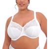 Elomi Women's Plus Size Morgan Banded Underwire Stretch Lace Bra,