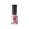 Kyoto Mustache Powder Nail Satsuki